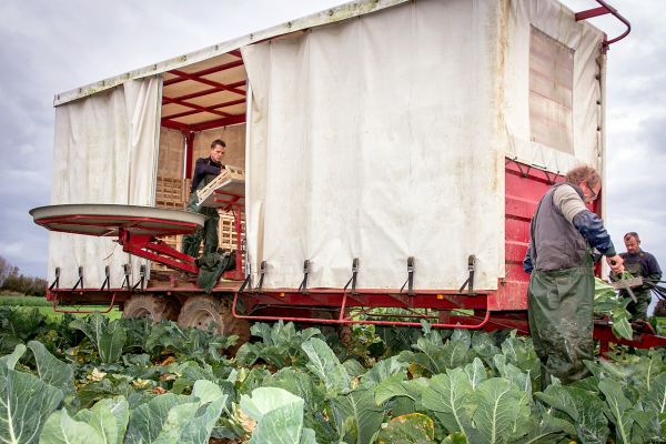 Nos clients apprécient la traçabilité et le panachage de produits maraichers Nos clients apprécient la traçabilité et le panachage de produits maraichers